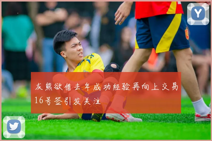 灰熊欲借去年成功经验再向上交易16号签引发关注